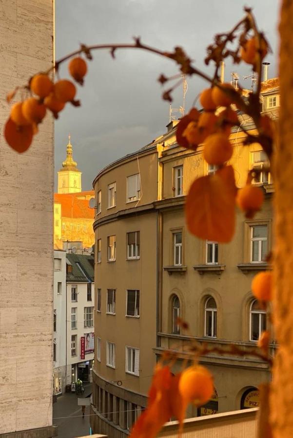 Main Square Dream Apartment Zagreb Bagian luar foto